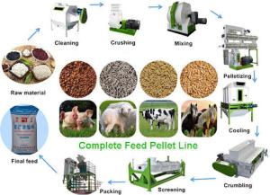 Wholesale 1-10 TPH Livestock Poultry Feed Production Line Animal Feed Processing Machine from china suppliers