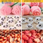 Vacuum Freeze Dryer Multifunctional Home Freeze Drying Machine For Vegetable