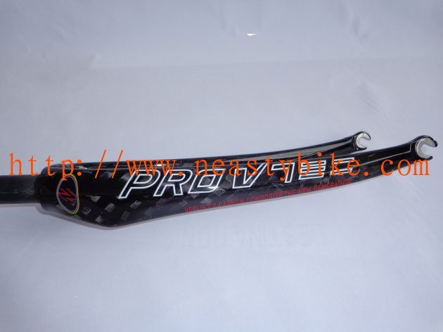 Full Carbon Black Bike/High Quality Bicycle Front Fork