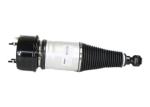 Pneumatic Rear Jaguar Xj8 Suspension For XJ XJR C2C41340 C2C41341