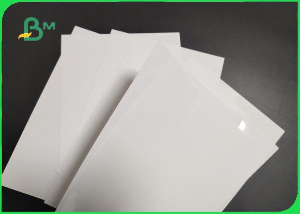 Seamless 240gsm 260gsm White Photography Paper For Advertisement Instant Dry