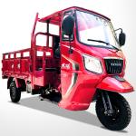 High Payload Capacity ≥400kg 1000W Tricycle 200cc Cargo Motorcycle Tricycle