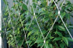 Wholesale Wire Mesh Rope Netting from china suppliers
