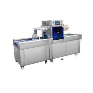 Wholesale Full-Automatic Chain Vacuum Skin packaging Sealing Machine Plastic Tray Sealer DQ630AT-V High Quality Tray Sealer from china suppliers