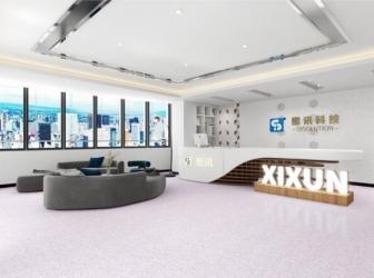 Shenzhen Sysolution Cloud Technology Company Limited