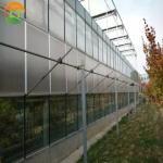 PC Sheet Cover Greenhouse The Perfect Solution for Large-Scale Hydroponic Supply