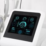 Newest 4 Hands Fat Freeze Etg 50-3s Strong Competitive Price Cryolipolysis