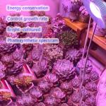 30000 Hour Working Lifetime 220v LED Grow Module for Greenhouse Fill Light