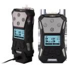 SAFEGAS Gas Detector Portable PH3 Detector High Resolution International