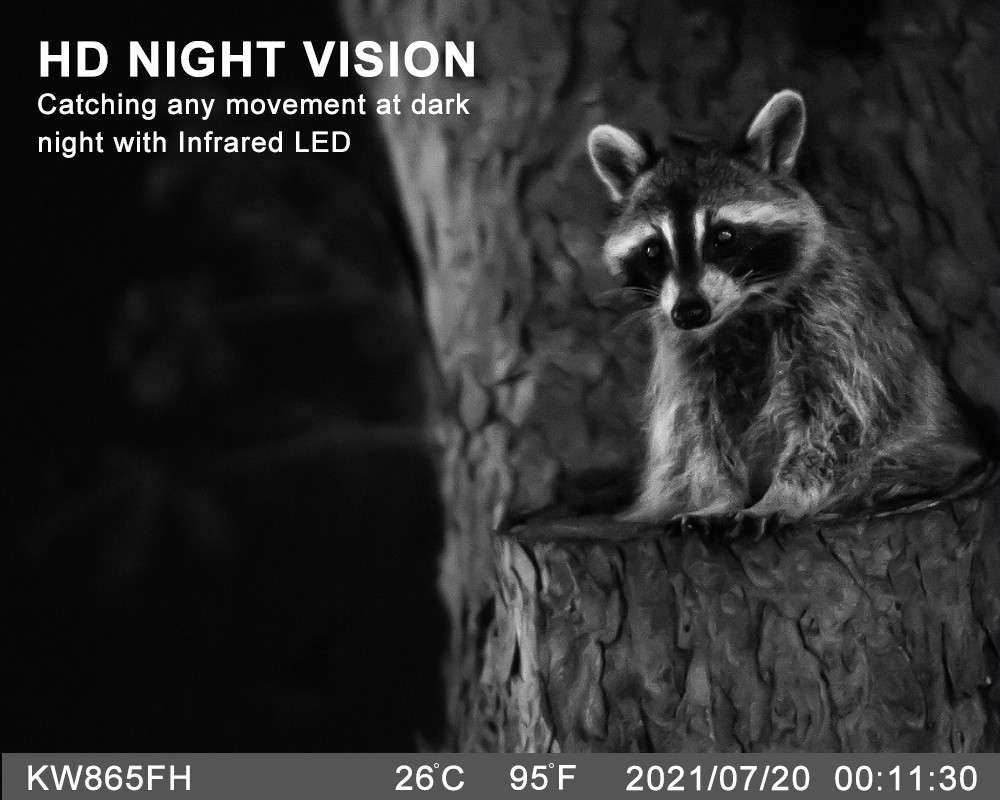 Programmable WIFI Hidden Wildlife Camera 24MP With LCD Display