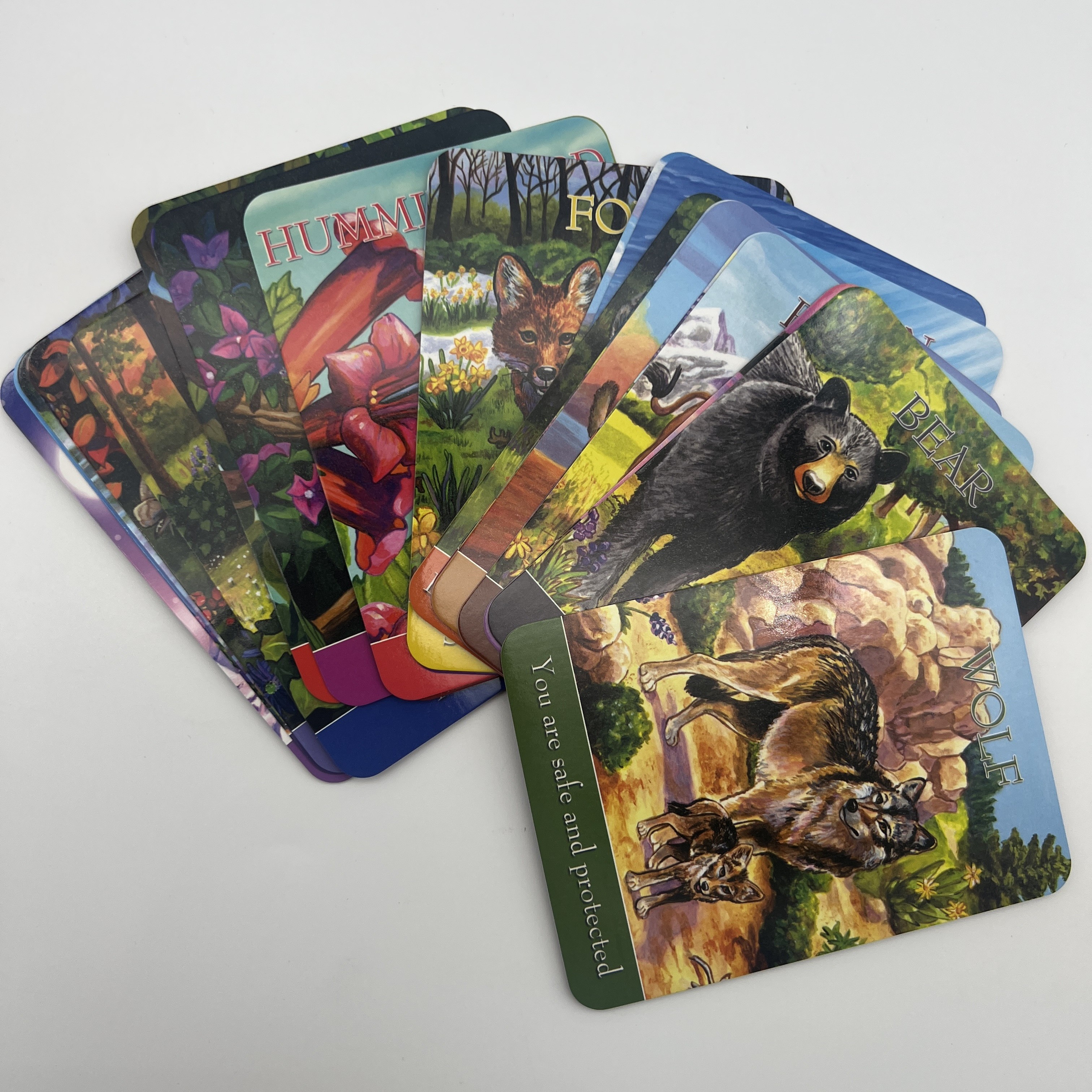 PMS Color 24 Spirit Animal Card Deck Cards With 88pp Guide Book Top / Bottom Boxes