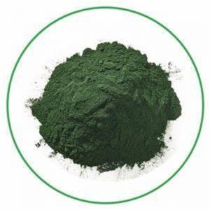 Wholesale Zorui CAS 1406-65-1 Natural Ingredient Chlorophyll Powder For Health Care from china suppliers