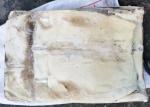 Bqf Squid Dried Fish Frozen Huge Size Store Condition -18 Degree C