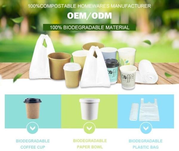 Made From Plants Customized wholesale biodegradable compostable pharmacy bag