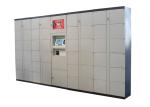 Public Rental Luggage Cabinet Storage Electronic Door Locker Kiosk for Workshop