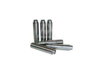 Wholesale Excavator Engine Parts D1146 Intake Valve Guide / Valve Guide Replacement Kit from china suppliers