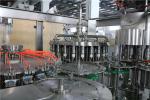 3 in 1 Monoblock Washing Filling Capping Machine