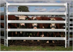 Wholesale 30*60*1.6mm Oval Pipe economic Full Welded Used Horse Corral Panels For Farm from china suppliers