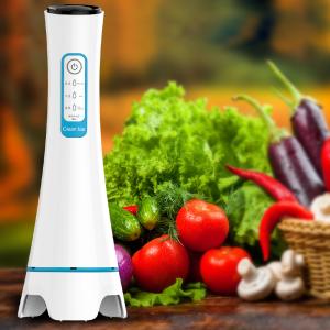 Wholesale 8.5V 10W Ultrasonic Ozone Vegetable Fruit Sterilizer from china suppliers