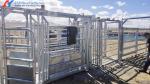 Easy Install Metal Cattle Shed Onsite Installation Steel Animal Husbandry