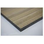 Soild Color High Pressure Laminate Phenolic HPL Plywood