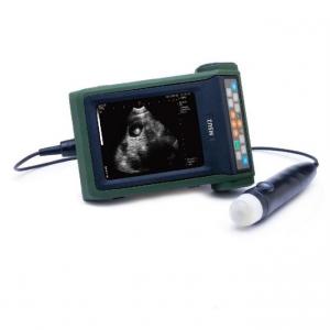 Wholesale B Mode Veterinary Ultrasound Scanner Sow Pregnancy Testing from china suppliers
