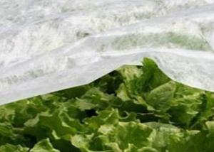 Wholesale Breathable PP Non Woven Fabric , Garden Weed Control Fabric For Agriculture from china suppliers