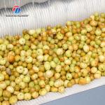 180KG Potato cleaning and peeling machine brush cleaning machine automatic