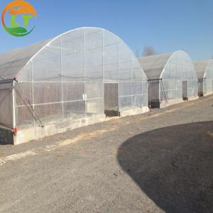 Wholesale High Land Utilization Single-Span Greenhouse by LiTai Super Strong Resistance Guaranteed from china suppliers