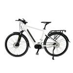 Hidden Battery Electric Road Bike with Rear Drive and Aluminium Alloy Suspension
