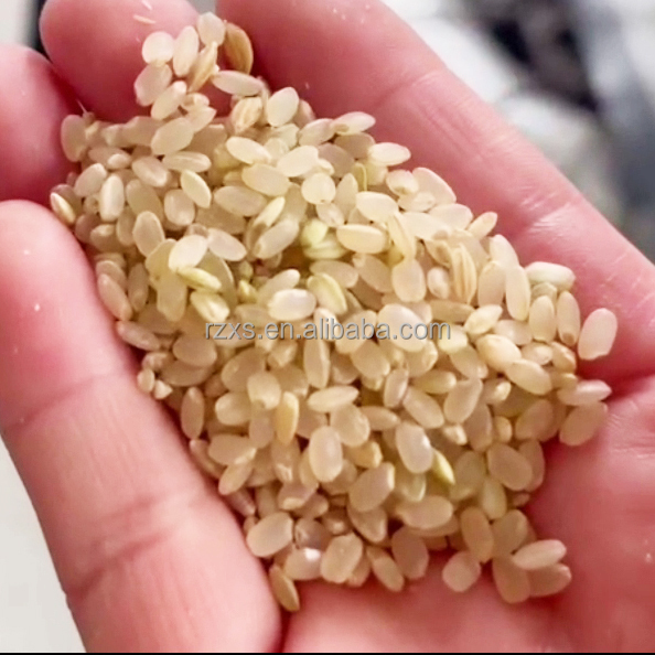 XCT1000 1 Ton Per Hour Small Combined Germ Rice Milling Machine for Medium Retailers
