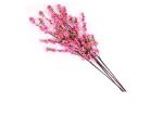 Home Dried Non Toxic Lightweight Artificial Silk Flower