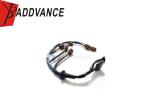 Car Ignition Coil Pack Wiring Harness 24079-01U00 For Nissan Skyline R32 GTST