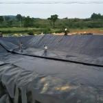 LLDPE Reservoir Liner 1.5mm for Plastic Dam HDPE Geomembrane Sheet 50-200m