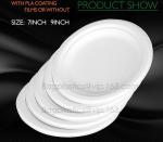 Compostable Clamshell Take Out Food Containers, Natural Disposable Bagasse, Eco
