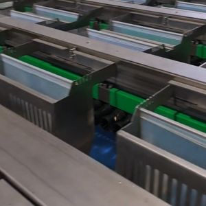 High-capacity Dates Sorting Machine, Advanced Computer Control, 304 Stainless