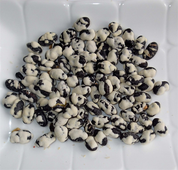 Leisure Green Pea Snack Uniform Size Wheat Flour Black Soy Bean
