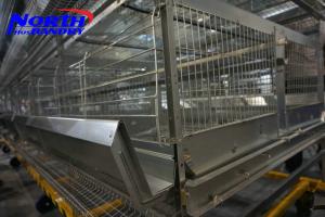 Wholesale fully automatic build chicken coops/battery cages laying hens/automatic poultry farm equip from china suppliers
