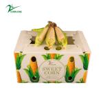 Corruone PP Correx fruit seafood vegetable Cartonplast corrugated plastic