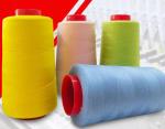 Dyed 60S/3 Polyester Sewing Thread with OEKO Certificate