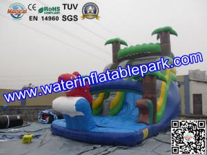 Wholesale Bounce House Charming Inflatable Slide , Kids Inflatable Water Slides Pool from china suppliers
