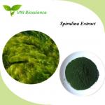 China Fresh Natural Plant Extracts Relieve Allergies Spirulina Extract for sale