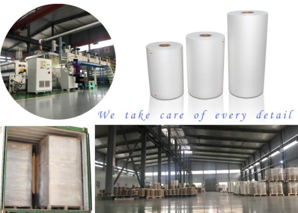 Discount Price Glossy and Matt Lamination Film Roll with Premium Quality