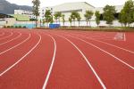 High Elasticity Blue Red 13mm Artificial Running Track Fadeless