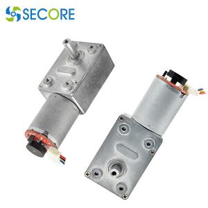 Wholesale Hall Encoder Dc Worm Gear Motor 180rpm 24V Dual Phase 12W With Self Lock from china suppliers