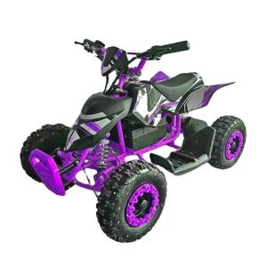 Wholesale Discover the Excitement of Our Mini Quad Buggy ATV 500W Electric ATV for Kids and Adults from china suppliers