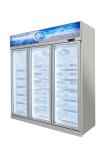 R134a Upright Glass Door Display Freezer Seafood Refrigerator 953L