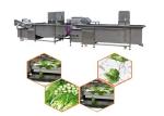 Customized Salad Production Line Vegetable Fruit Washing and Cleaning Machine