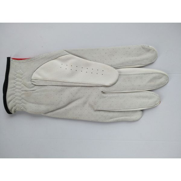 golf glove , golf gloves , glove , gloves