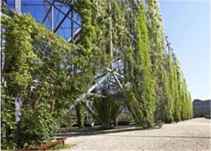 Wholesale Ferrule Stainless Steel Cable Trellis 1.2mm Rope Diameter For Plant Climbing from china suppliers